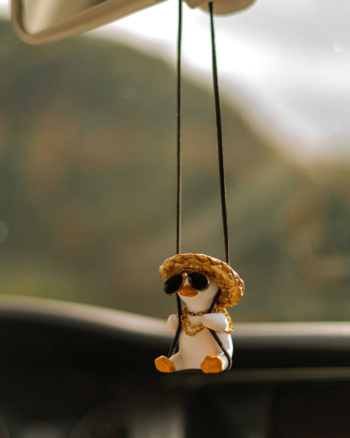 G-Duck hanging ornament inside a car